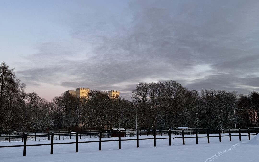 VÅRTERMINEN BÖRJAR 6 JANUARI