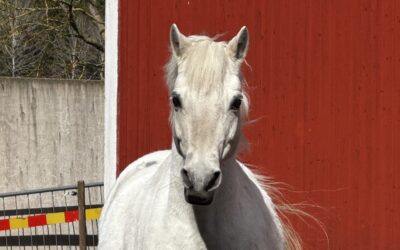 Påsklov