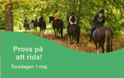 Prova på att rida