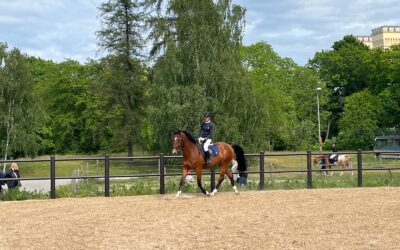 Ryttarmeddelande – 2* & 1* dressyrtävling sön 28 sept