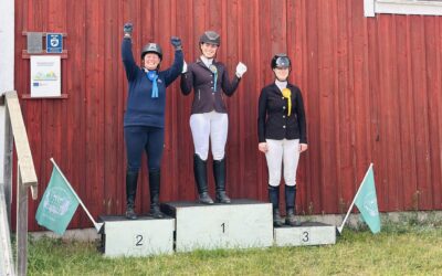 Resultat klubbtävling i dressyr