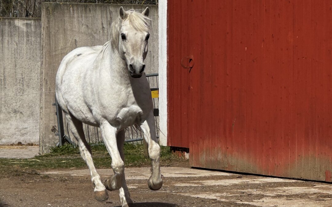 Det här händer på påsklovet!